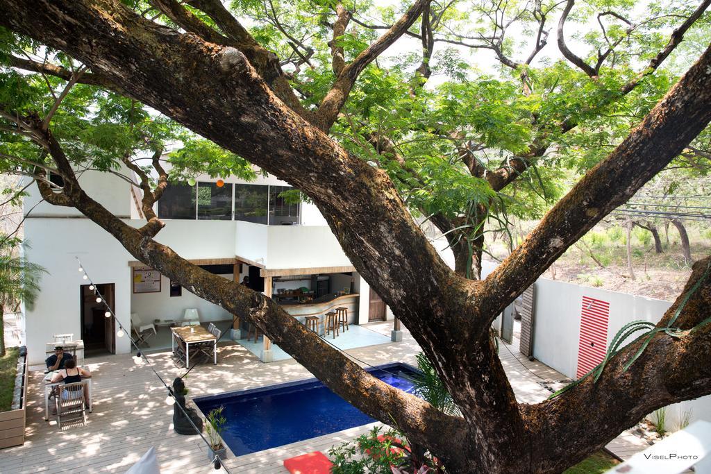 15 Love Bed & Breakfast Tamarindo Eksteriør billede